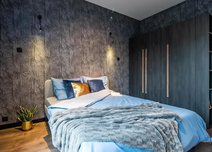 Augustynika דירה *